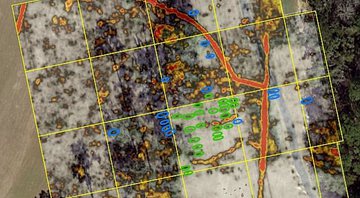 Os pontos esverdeados na imagem são túmulos afro-americanos, segundo o arqueólogo Jeffrey Shank - National Parks Service