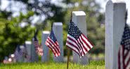 Túmulos de veteranos de guerra americanos - Pixabay