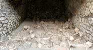Esqueletos das vítimas de Herculaneum - Dima Moroz