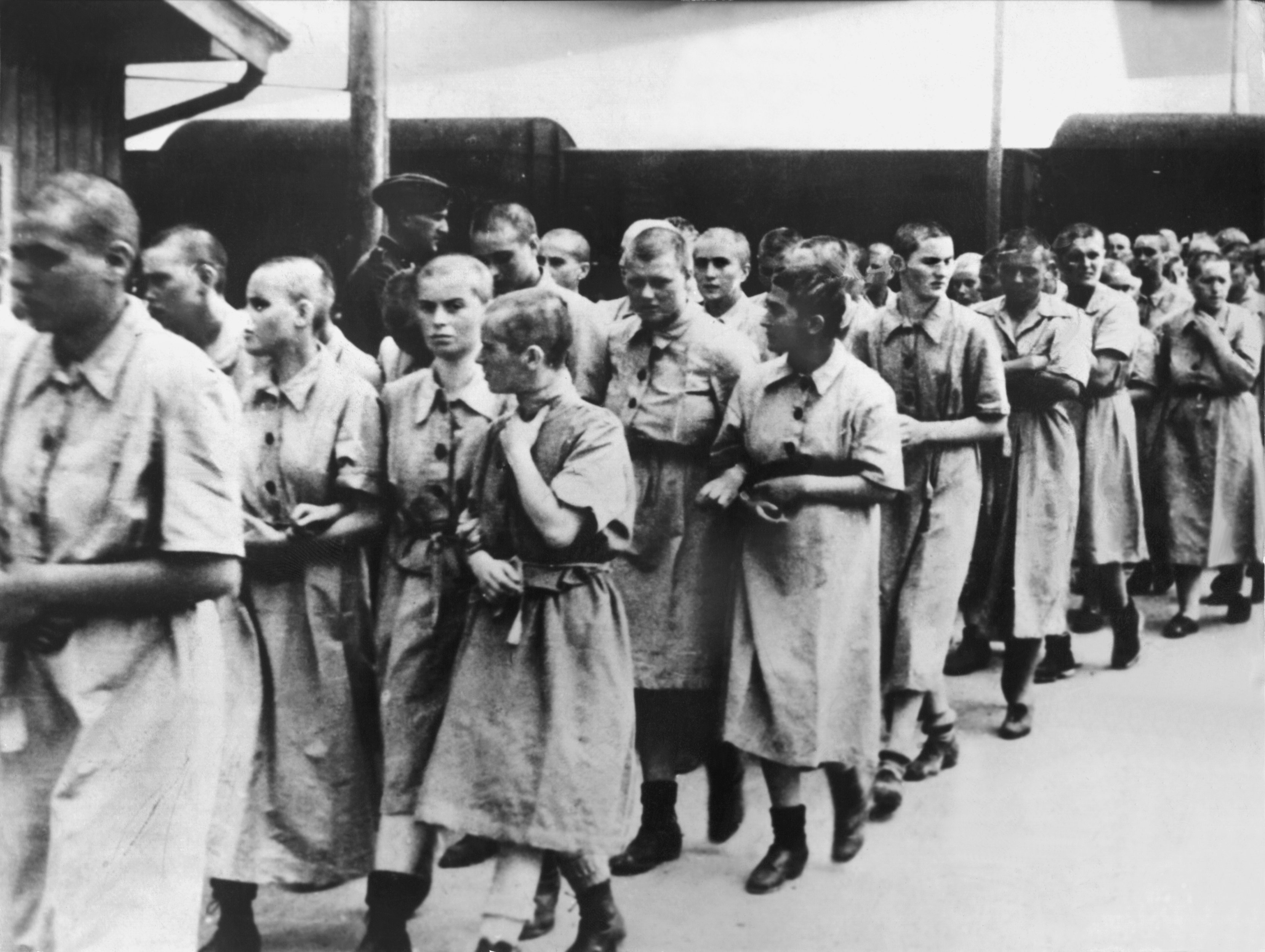a4aecc535af5e4dd8a00480078a87263 - Gestantes de Auschwitz: A cruel saga das gestantes nos campos de concentração