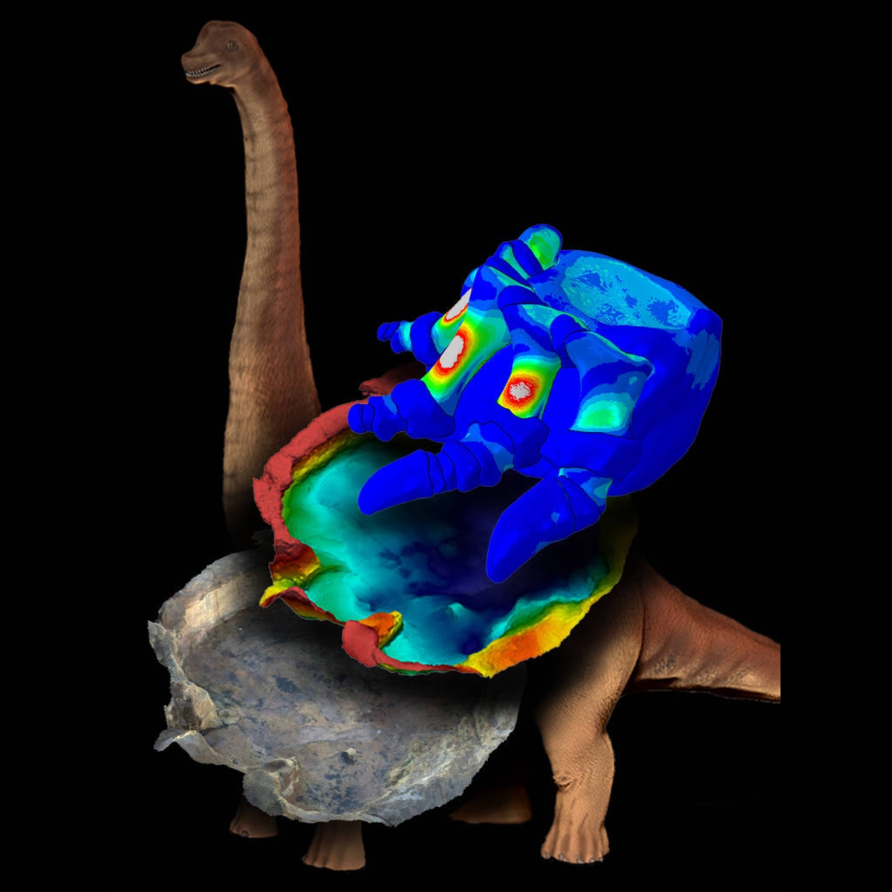 Representação de como seriam os amortecedores nas patas dos grandes dinossauros