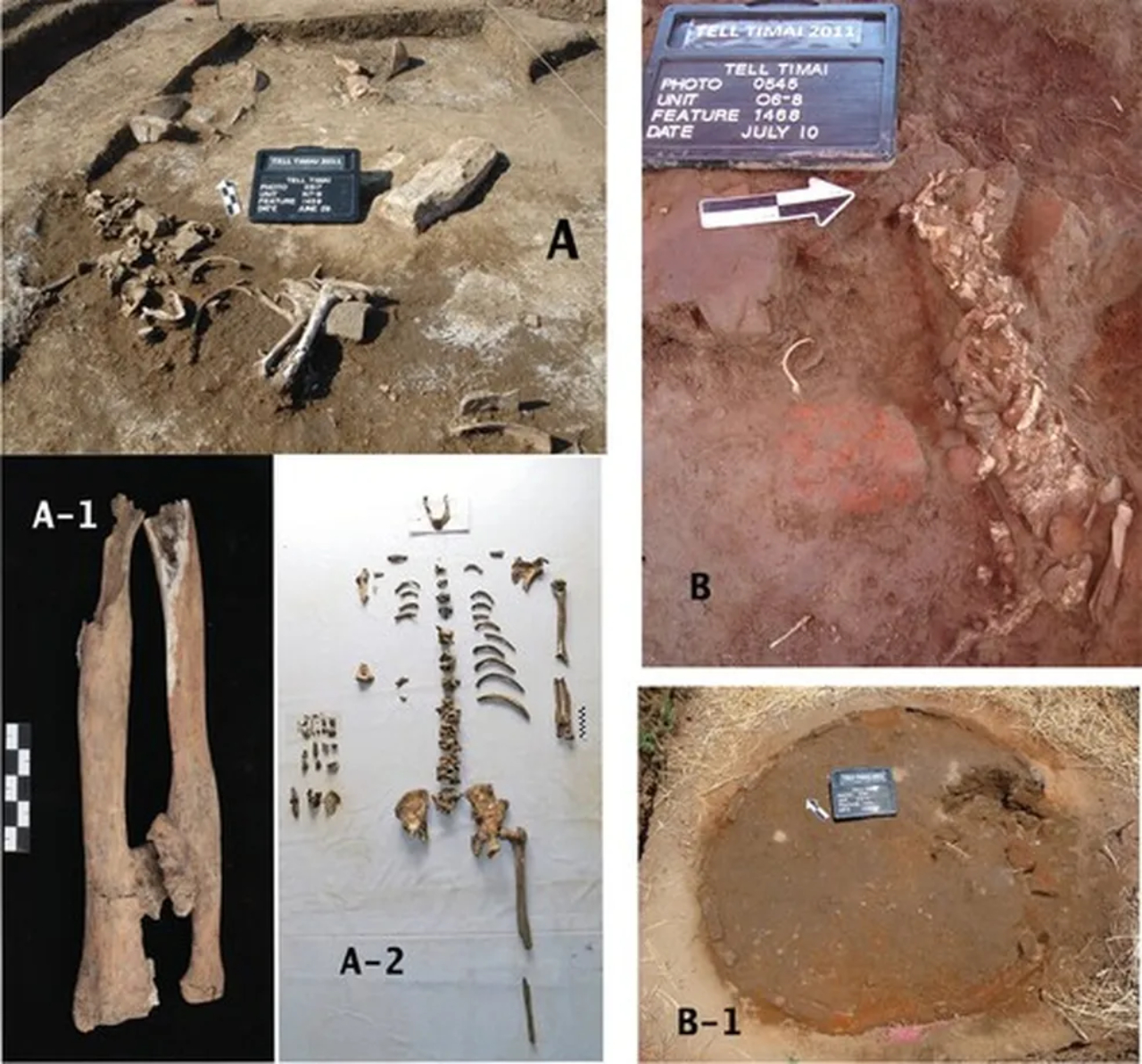 Evidências encontradas em escavações no norte do Egito