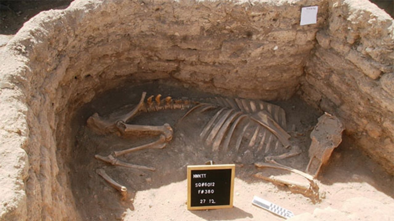 Aventuras na História · Cidade de Ouro Perdida é encontrada no Egito após 3  mil anos; confira as fotos