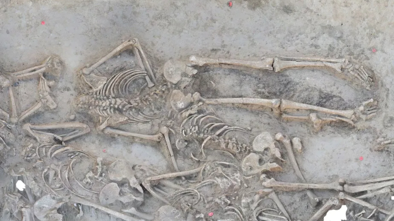Esqueleto sem cabeça encontrado no assentamento da Eslováquia