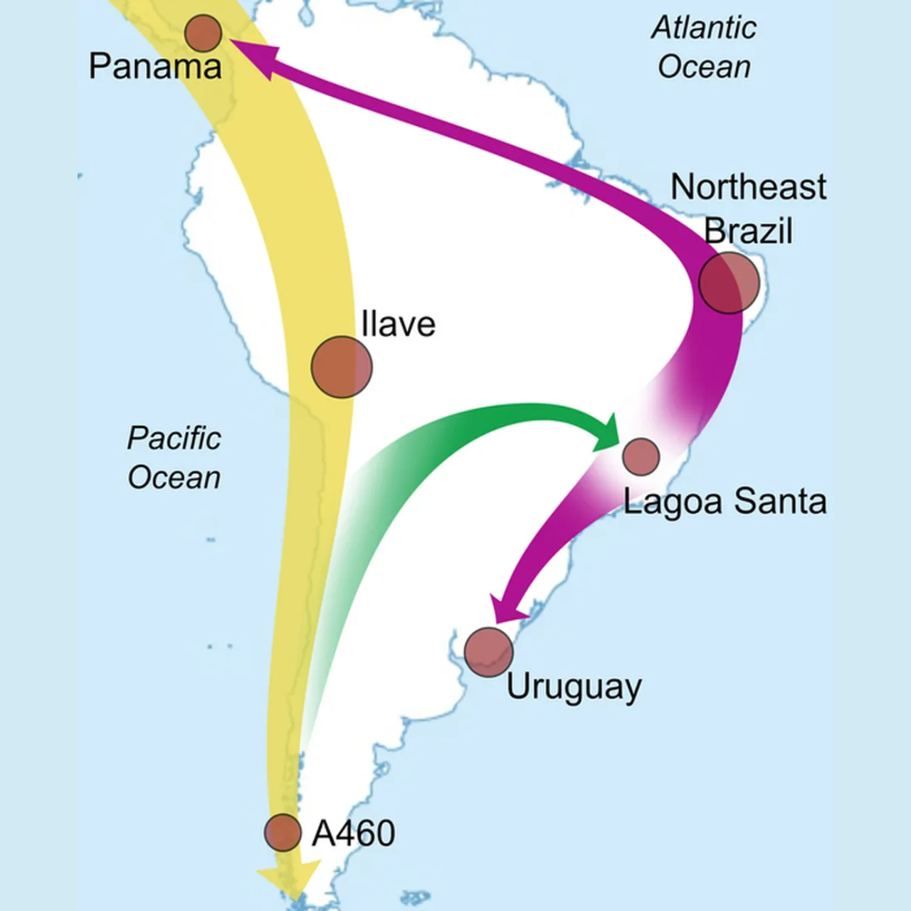 Esquema em mapa que indica as rotas migratórias dos antigos povos indígenas da América do Sul