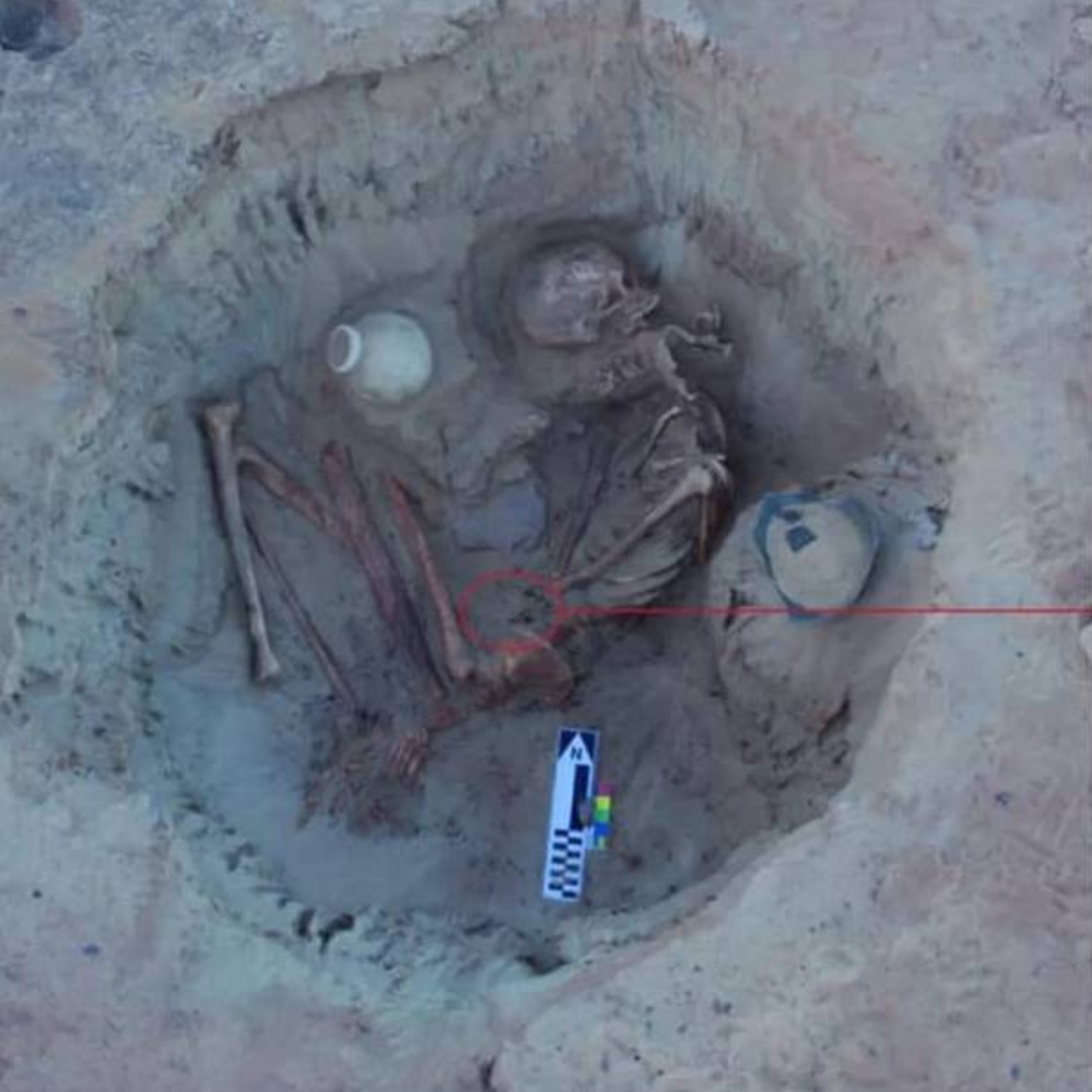 Restos mortais de mulher encontrada no Egito com esqueleto de feto junto ao corpo