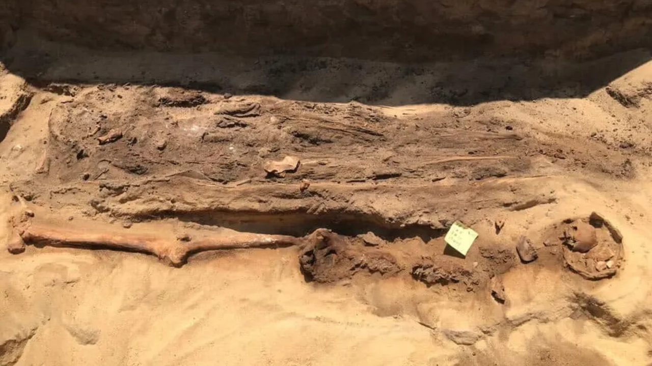 Múmias descobertas em cemitério do Egito Antigo, próximo à Quweisna