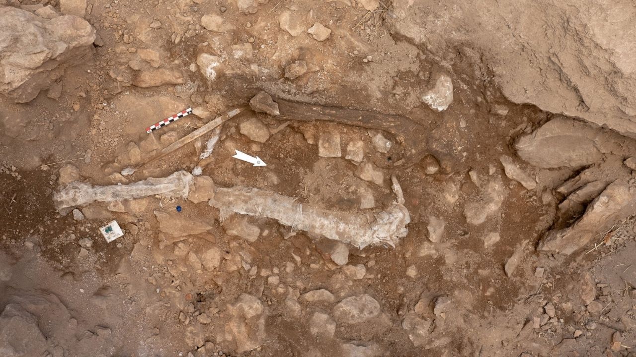 Arqueólogos descobrem restos do famoso Cavalo de Tróia
