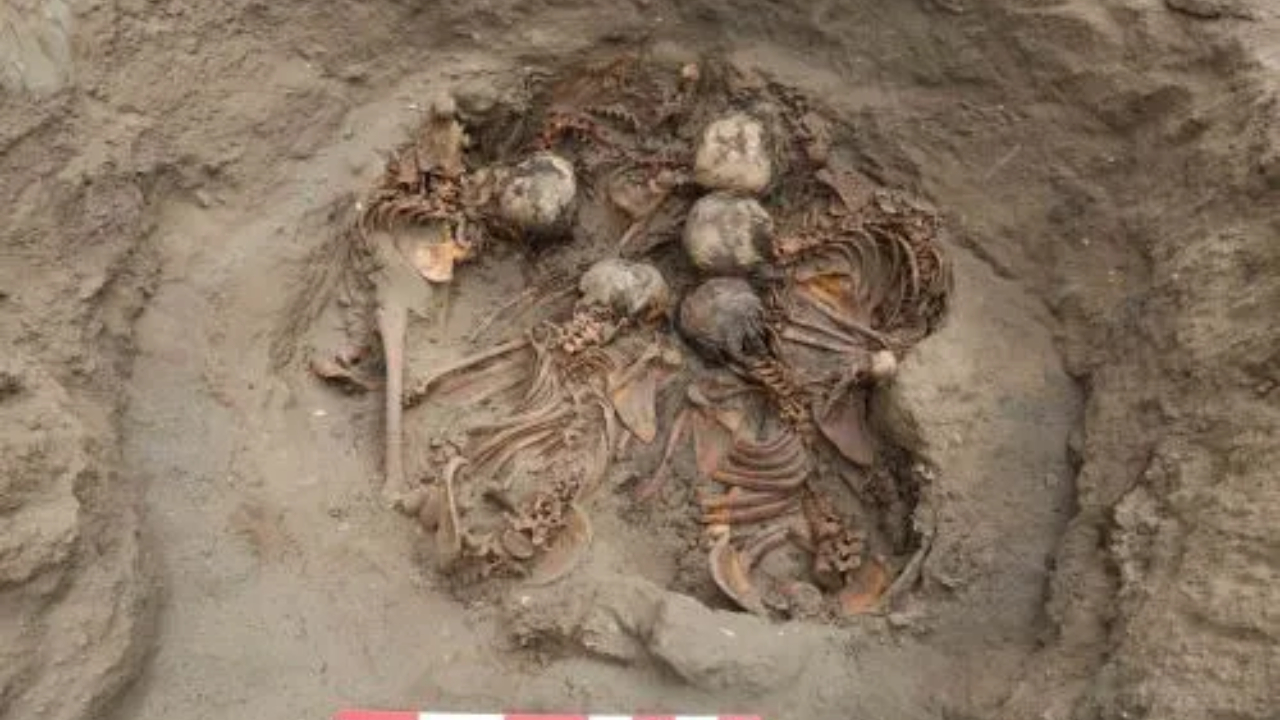 Fotografia de tumba contendo esqueletos de cinco mulheres sentadas em círculo