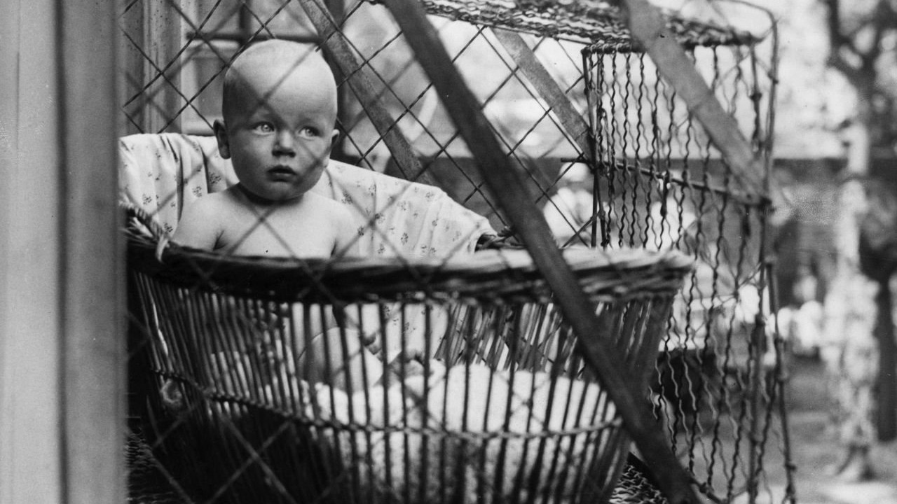 A bizarra saga das gaiolas ao ar livre para bebês