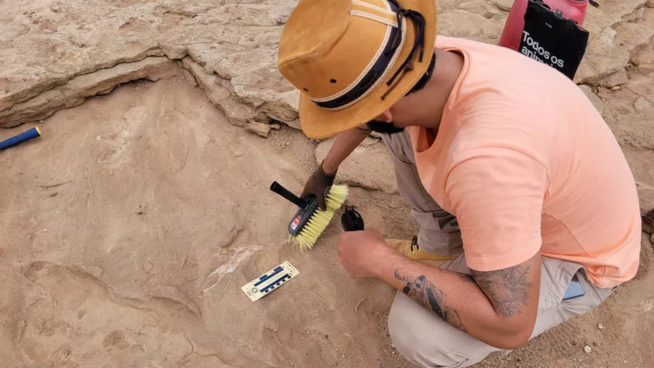 Pesquisadores da UFPE buscam novos fósseis no local