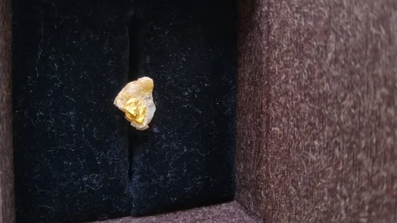Pepita de ouro encontrada por estudante de 12 anos durante excursão escolar