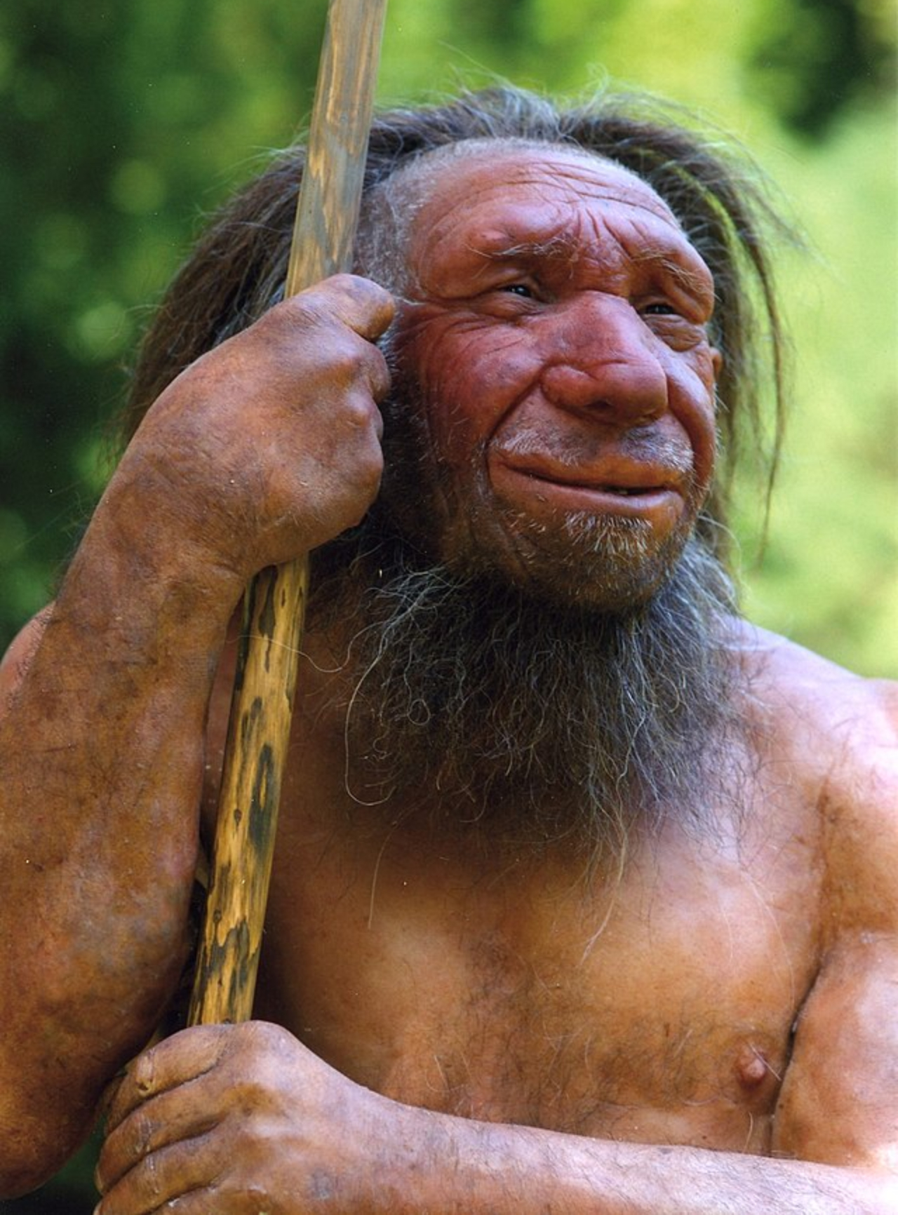 Representação de como seria um neandertal