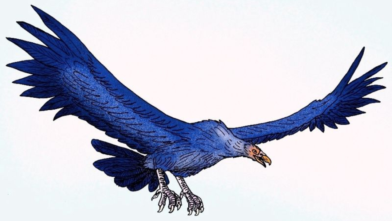 Argentavis magnificens, maior ave voadora que já existiu