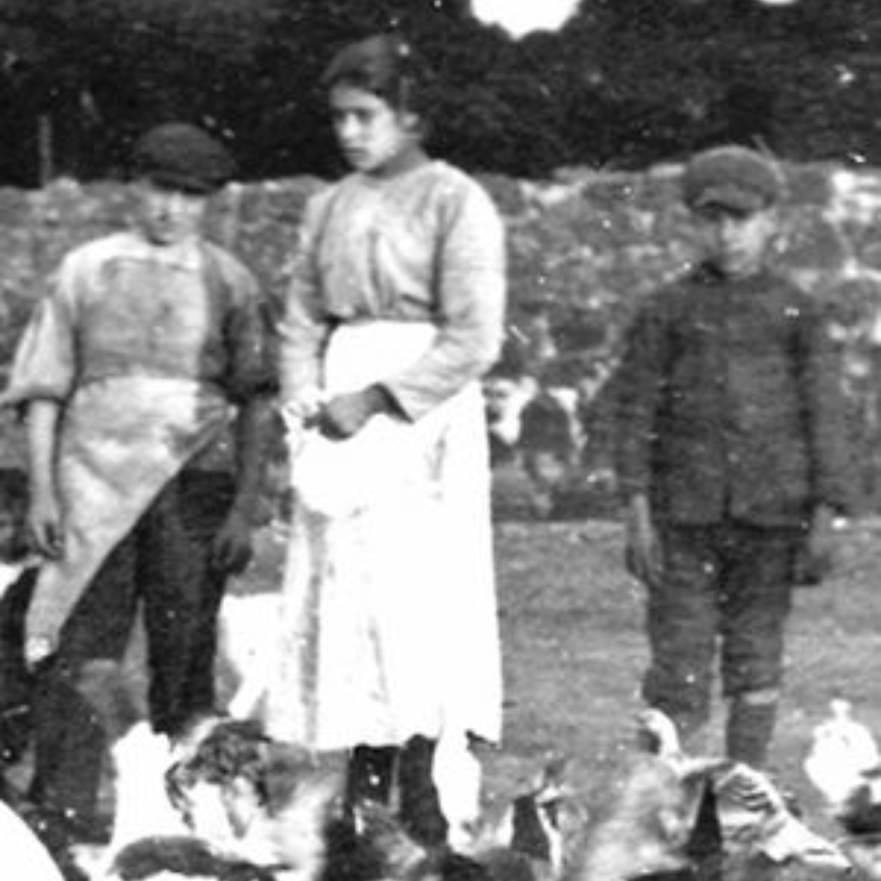 Fotografia de 1902 da santa Maria Teresa Goretti, que faleceu aos 11 anos