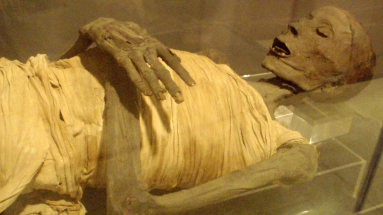 Múmia de homem egípcio antigo