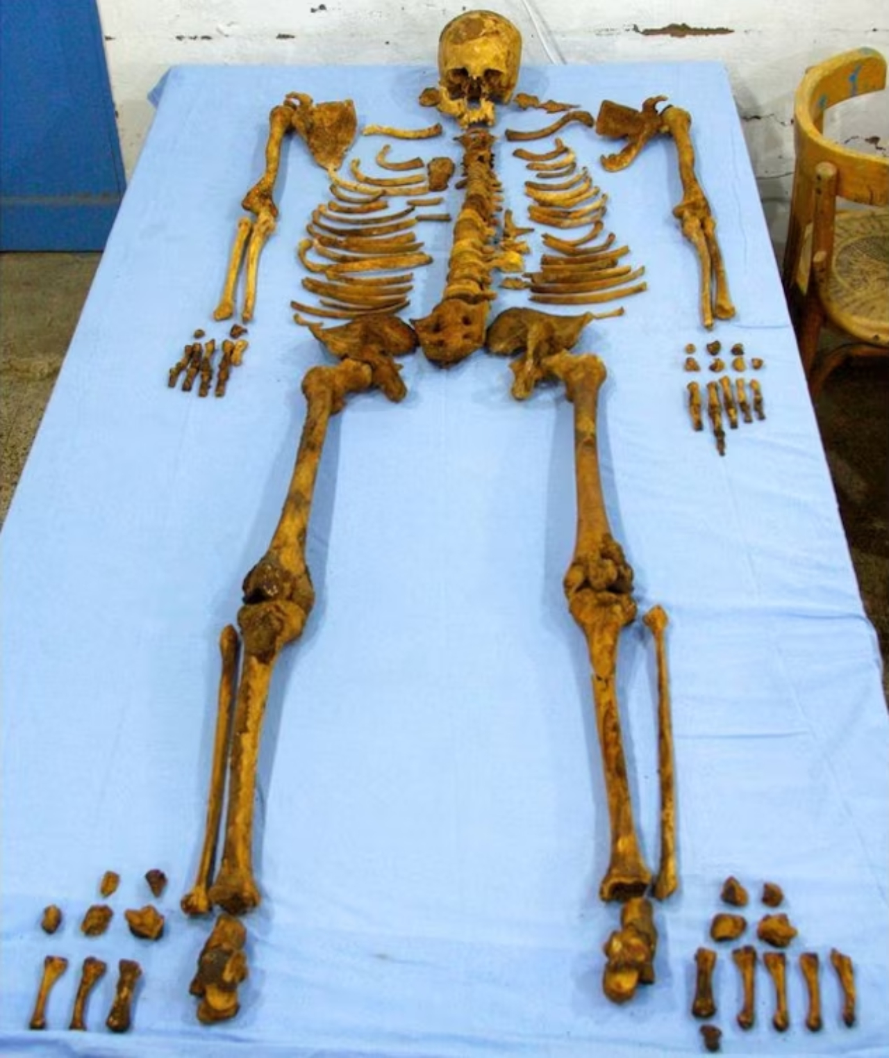 Esqueleto de antigo faraó egípcio brutalmente assassinado