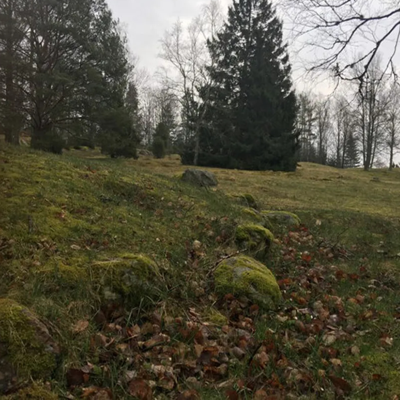 Os túmulos Stubhøj e Store Vikingegrav, marcados com pedras no cemitério de Hunn
