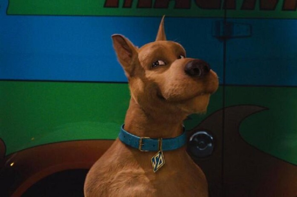 Scooby Doo :), Dogue Alemão Para aqueles que não sabem, o S…