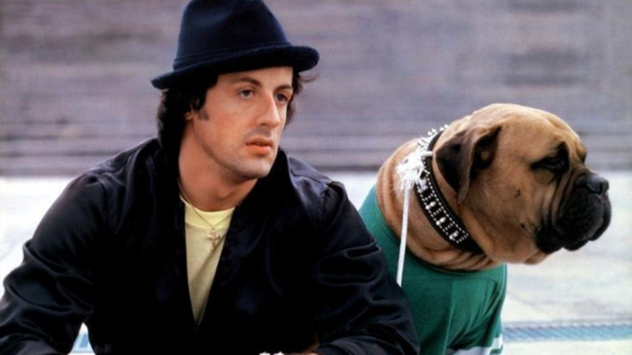 Stallone e Butkus em cena do clássico filme Rocky (1976)