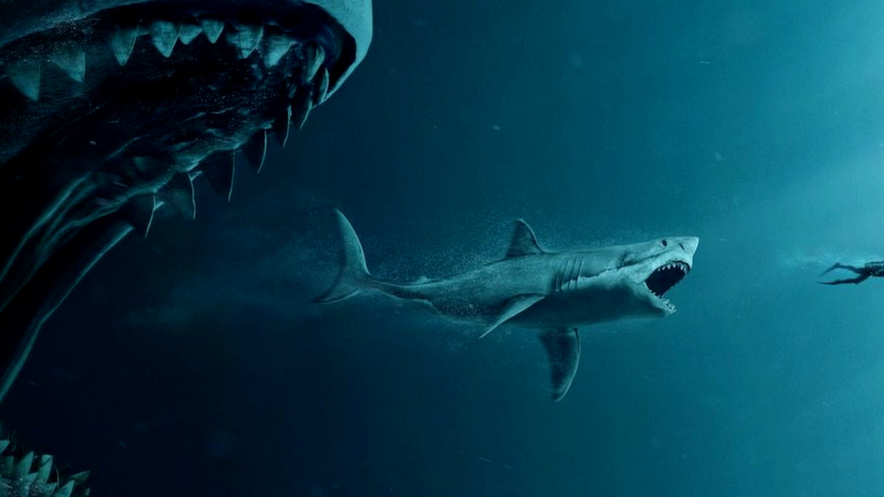 A razão por trás do misterioso desaparecimento do megalodonte, o maior  tubarão que já existiu, Ciência