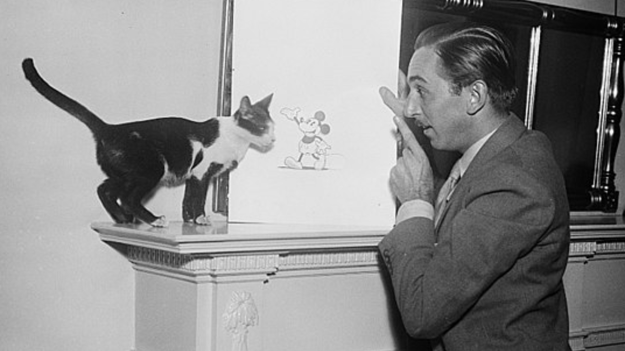 Fotografia de Walter Elias Disney, mais conhecido como Walt Disney, com um desenho do Mickey Mouse e um gato