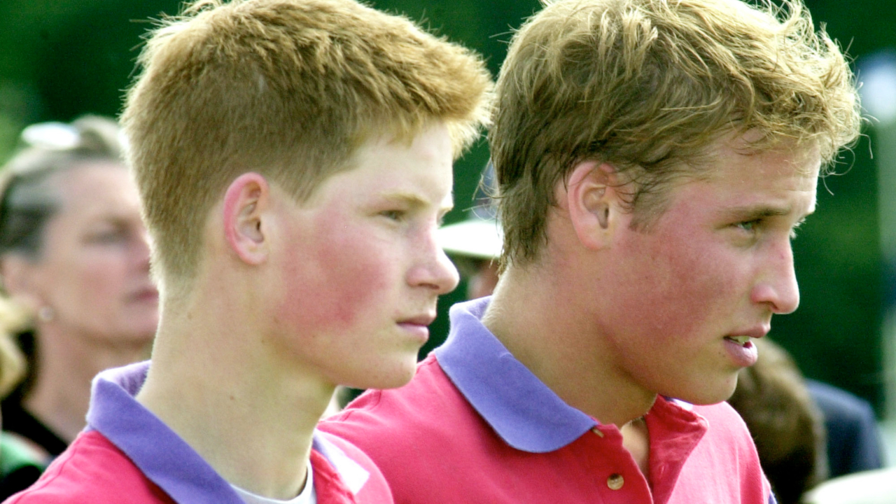 Fotografia dos príncipes Harry e William, respectivamente, ambos com os rostos vermelhos