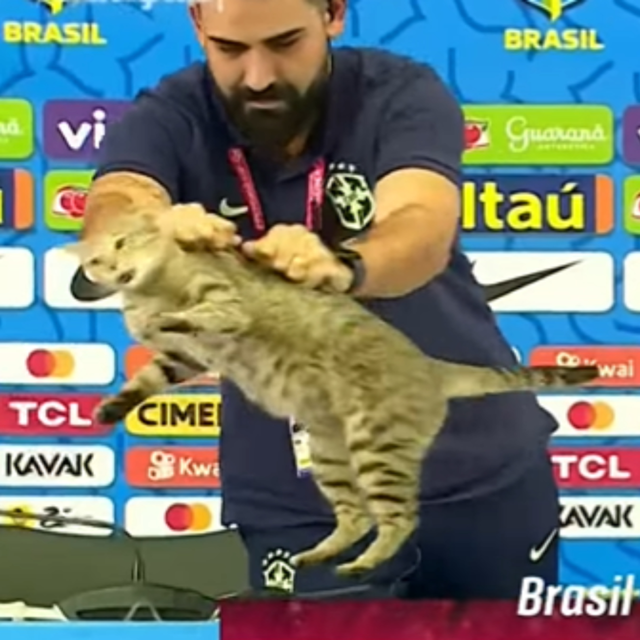 Momento em que gato é retirado de bancada de entrevista pelo assessor Vinicius Rodrigues