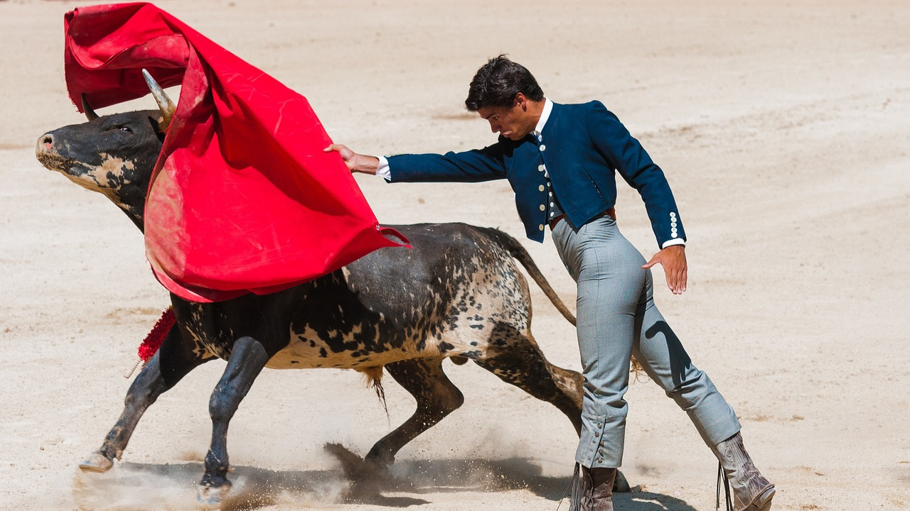 A verdadeira história das touradas em Portugal