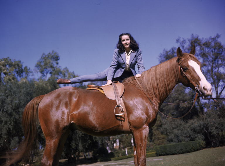 Cavalaria: conheça um pouco mais sobre o papel do cavalo em grandes  momentos da história brasileira – CRMV-ES