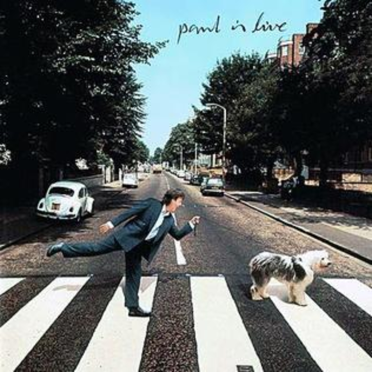 'Paul is Live' (1993)