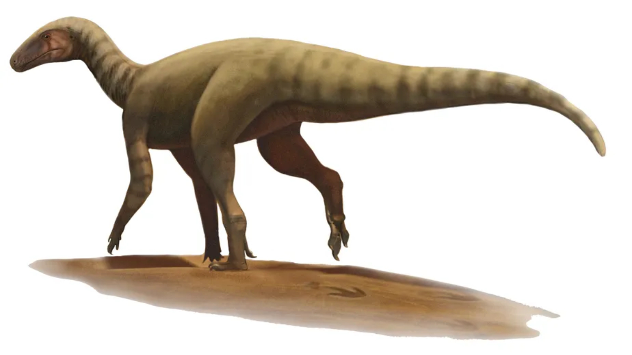 Representação do Amanasaurus nesbitti em vida