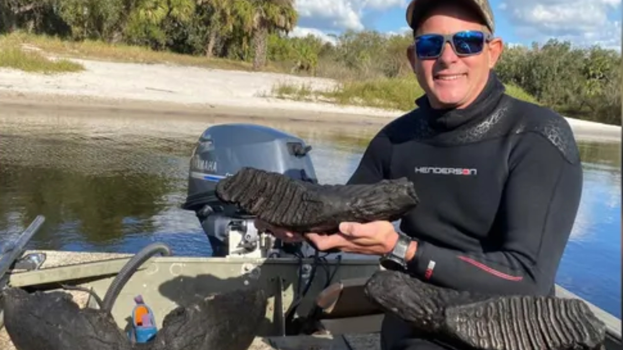Homem encontra mandíbula de mamute em rio na Flórida